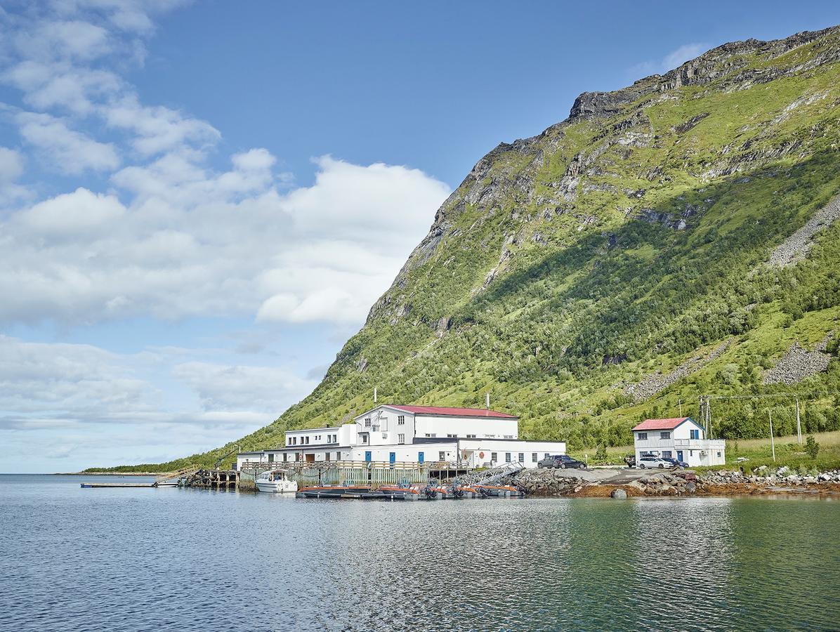 Northern Light Hotell/Camp Steinfjord Berg  Εξωτερικό φωτογραφία