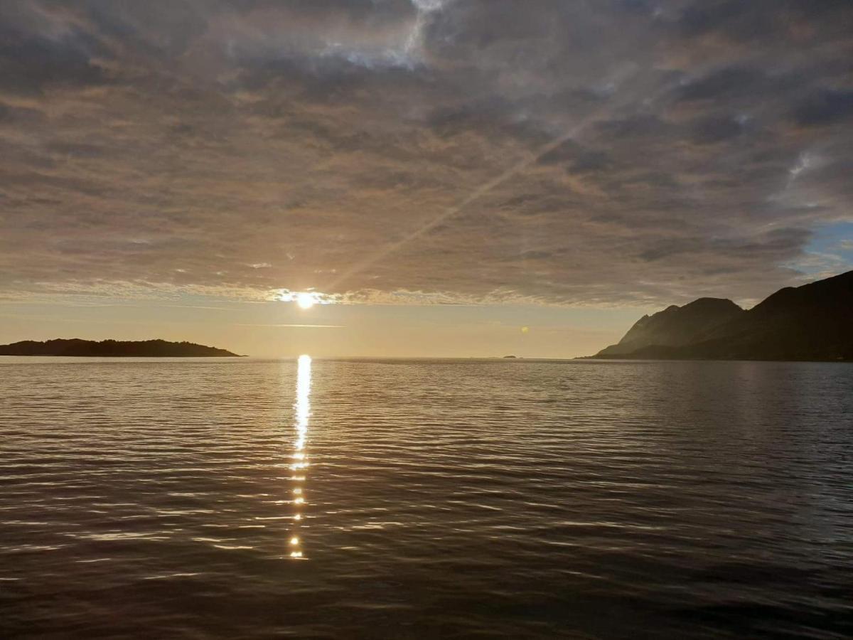 Northern Light Hotell/Camp Steinfjord Berg  Εξωτερικό φωτογραφία